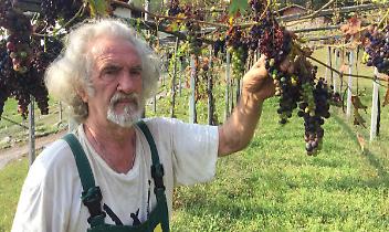 LUGNACCO. La grandinata ha devastato i vigneti