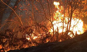 TORINO. Ancora incendi in Val Susa, brucia il monte Musinè