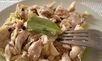 Tonno di coniglio