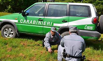 Rifiuti di gomma, sequestrato un impianto nel Novarese: l&rsquo;indagine che svela la filiera dei costi al ribasso