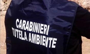 CUMIANA. Discarica abusiva nel Torinese, Noe sequestra 4 capannoni