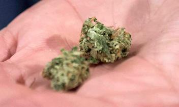 ALPIGNANO. Droga: in auto con un chilo di marijuana, arrestato corriere