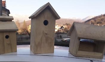 ISSIGLIO. Una nuova casa per gli uccellini dei boschi