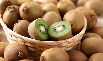 Sagra del Kiwi