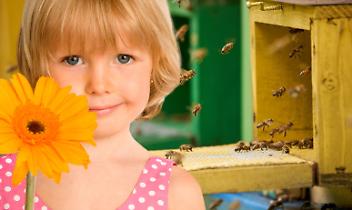 L'alveare entra in classe