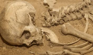 Scopri il fascino della storia e delle Valli di Lanzo e del Canavese: un incontro unico con gli autori di "canav&egrave;is"