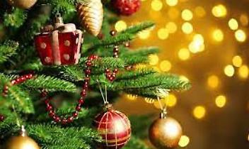 Con “Accendi l’Albero” arriva il Natale in Valle Tesso