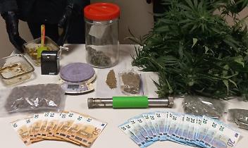 Scoperto traffico di Marijuana 