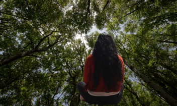 Foreste certificate: Ala di Stura, Balme e Cantoira conquistano il PEFC