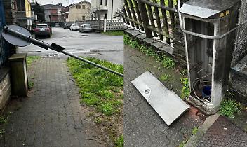 Vandali selvaggi
