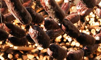 Torna la Sagra del Brut & Brut