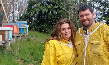 A passo d’ape: la scelta coraggiosa di cambiare vita e inseguire un sogno tra i boschi