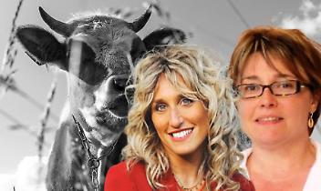 Insulti online e spese legali: il paese diviso dopo l&rsquo;abbattimento delle mucche