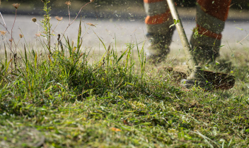 Il paese è senz'acqua, il Comune taglia l'erba: residenti furiosi