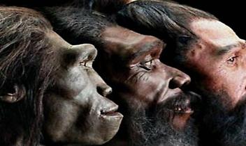 Migrazioni, fossili e scienza viva: al Gran Paradiso torna "Natura in Evoluzione"