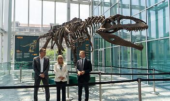 Al Grattacielo Piemonte arriva un gigante preistorico