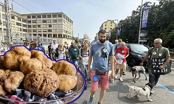 cendono in piazza i cercatori di tartufi
