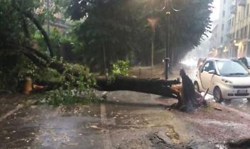 Violento nubifragio, danni in Piemonte: raffiche di vento a 90 Km/h. Ecco la situazione
