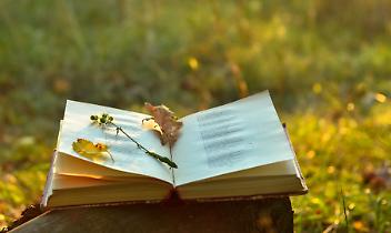 La poesia unisce