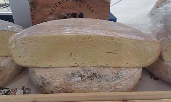 Usseglio celebra la Toma: sapori, tradizioni e natura alla 29ª Mostra Nazionale dei Formaggi d’Alpeggio