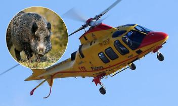 Scontro frontale per evitare un cinghiale: due donne gravi in ospedale