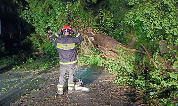 Alberi caduti e rischio frane: chiusa la Provinciale 4