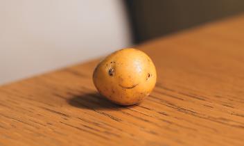 Ingria celebra la regina dell'estate: torna la Sagra della Patata 2025