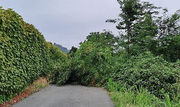 Maltempo in collina