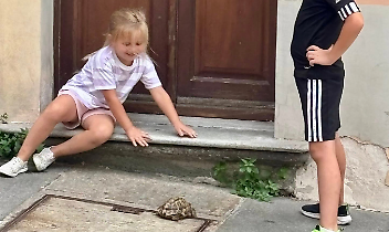 Tartaruga abbandonata vicino ai cassonetti: salvata da due turisti inglesi