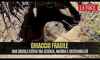 Ghiaccio Fragile 2025: il racconto di una settimana di formazione nella montagna - VIDEO
