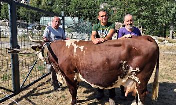 Festa Agricoltura di Montagna