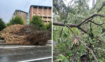 Maltempo nel Torinese, 30 mm di pioggia in mezz'ora. Strade allagate e alberi caduti