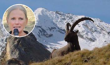 Gran Paradiso, una svolta storica: per la prima volta una donna alla guida del Parco