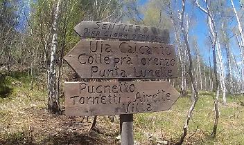 Dalle Valli di Lanzo agli altari: Pier Giorgio Frassati proclamato santo