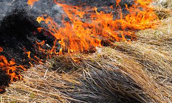 Incendio sulle montagne di Bussoleno, cascina distrutta e 50 rotoballe di fieno in fumo