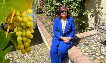 La Festa dell'Uva 