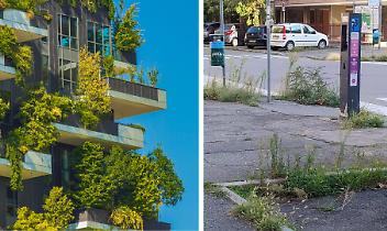 Dal "Bosco Verticale" di Milano al "Marciapiede Verticale" di Venaria è un attimo