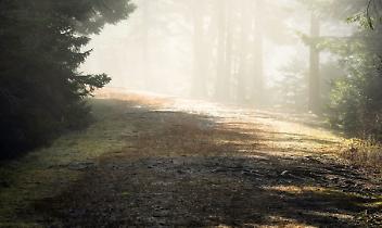 “Quo Vauda?” 2025