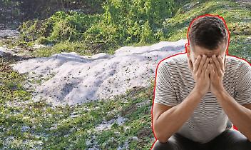 Grandine devasta il riso nel Vercellese: perso fino all'80% del raccolto