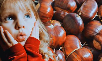 La Sagra della Castagna 