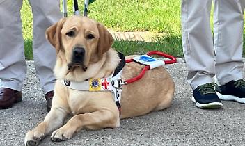 Moncalieri, la nuova vita di Arnaldo con Lumière: il cane guida che diventa famiglia