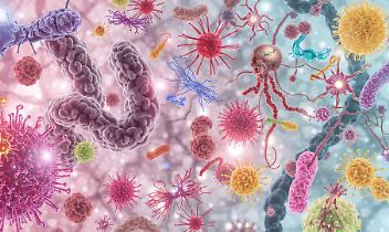 Castiglione, il Festival dell'Innovazione e della Scienza apre le porte al mondo segreto dei batteri