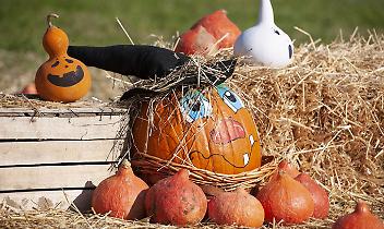 A Chiaves la quinta edizione della manifestazione dedicata all'autunno