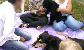 A Saluggia c’è un luogo dove la disabilità non isola, ma unisce. Si chiama comunità Lilly.