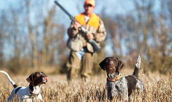 Scambiato per un animale da un compagno di battuta: chi è Armando Dalla Bona, il cacciatore ucciso a Locana da un 19enne