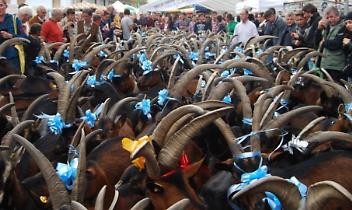 Torna la Festa rurale