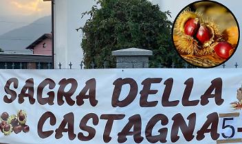 Dodici quintali di castagne