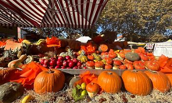 Brandizzo festeggia i 28 anni della Sagra della Zucca: due giorni di gusto e tradizione