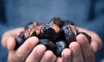 La Magia dell’Autunno a Favria