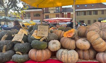 Brandizzo si tinge d’arancio: la 28esima Sagra della Zucca abbraccia tradizione, gusto e comunità